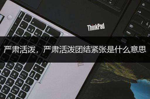 严肃活泼，严肃活泼团结紧张是什么意思